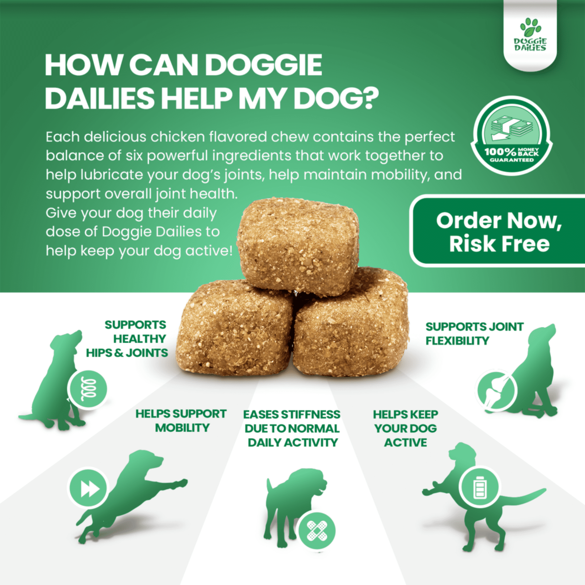 Doggie Dailies Advanced Hip and Joint Supplement for Dogs Your