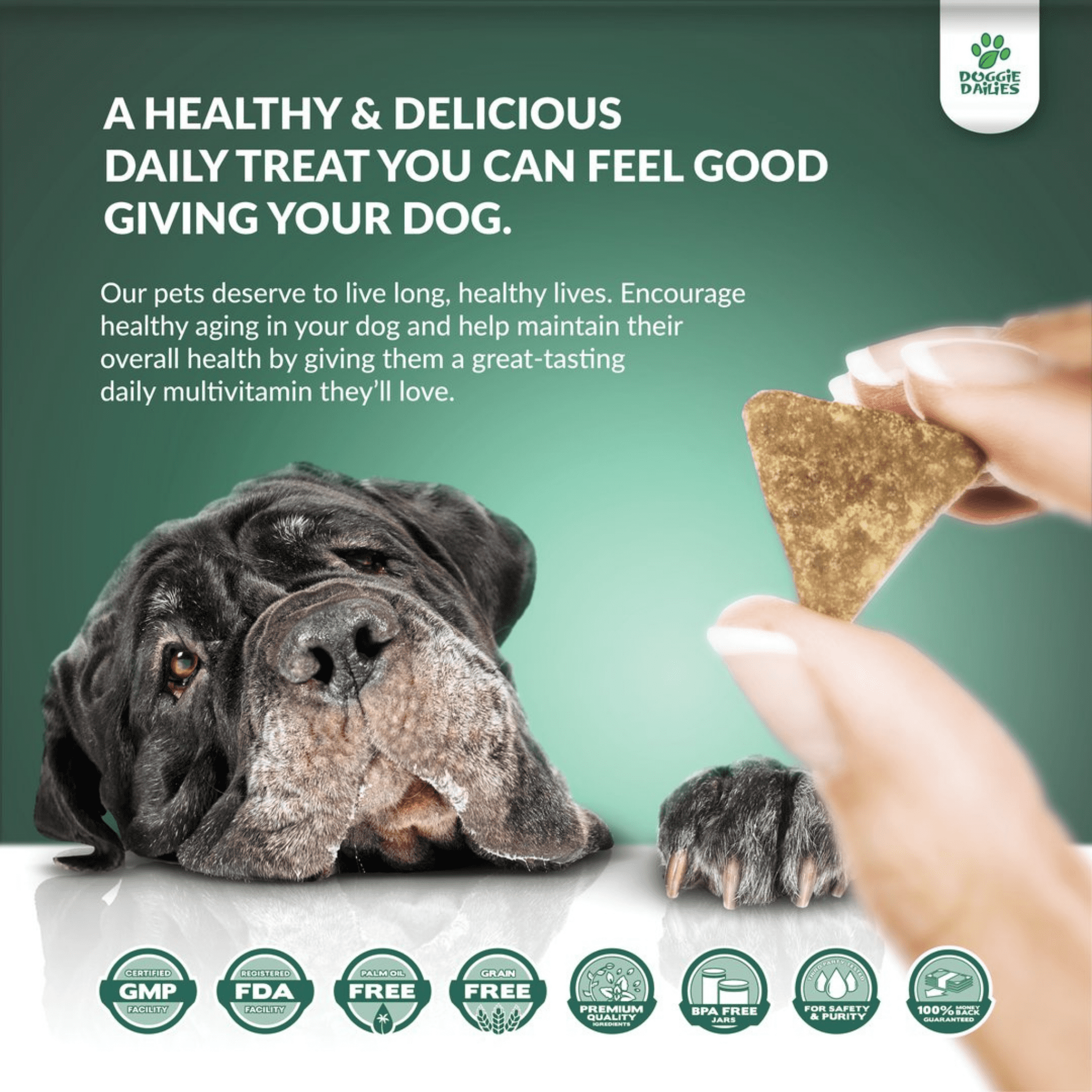 Doggie dailies 5in1 Multivitamin for Dogs Your Essentials